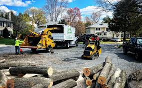 Best Tree Mulching  in Laguna Park, TX