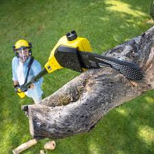 Best Hazardous Tree Removal  in Laguna Park, TX