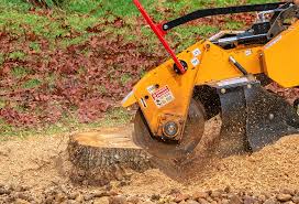 Best Lawn Watering Services  in Laguna Park, TX