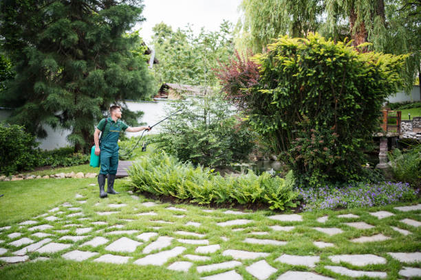 Best Lawn Maintenance Plans  in Laguna Park, TX
