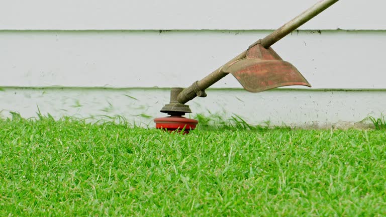 Best Lawn Mowing  in Laguna Park, TX
