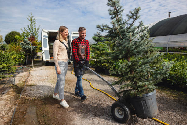 Best Fruit Tree Pruning  in Laguna Park, TX